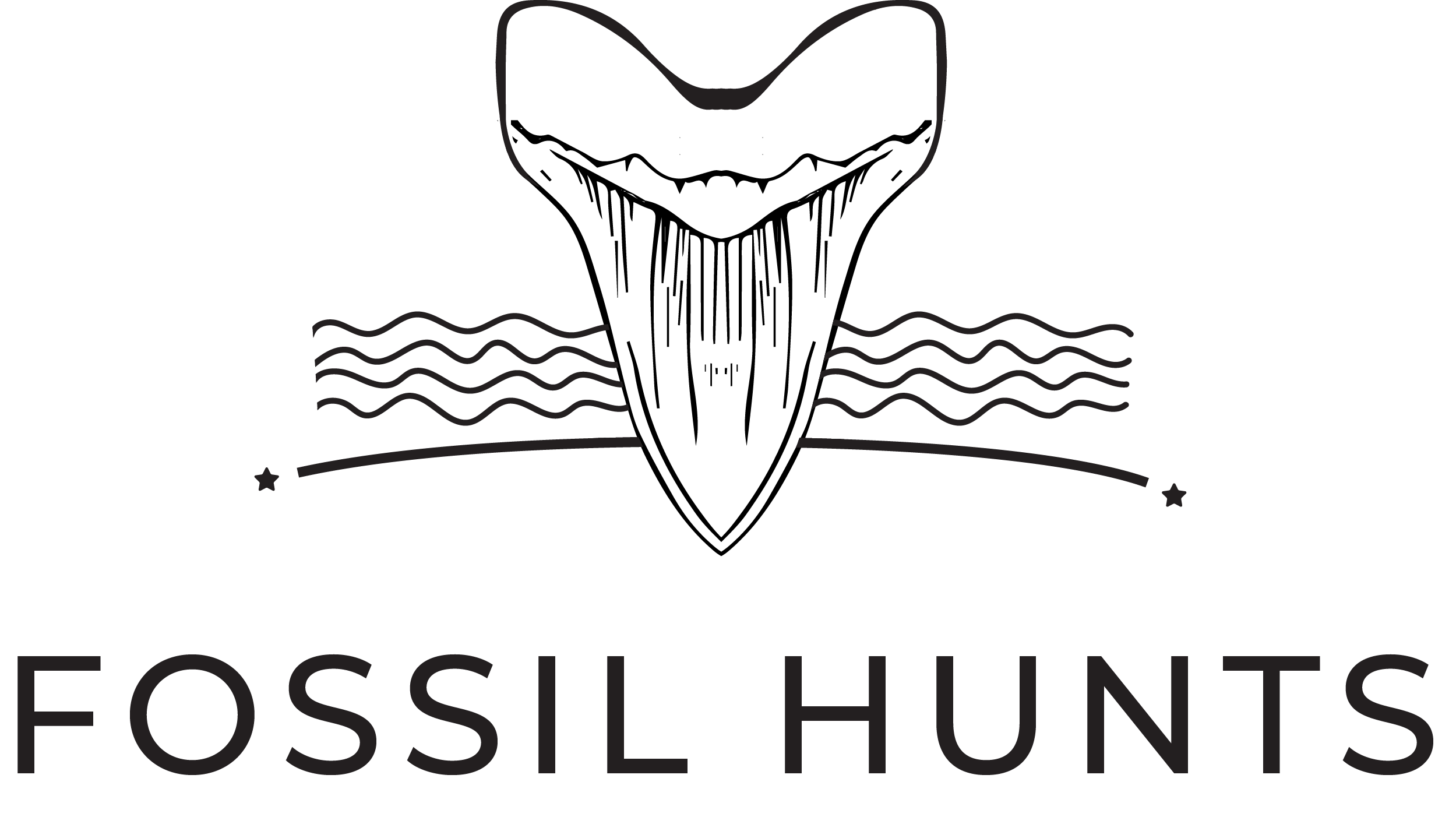 Fossil Hunts